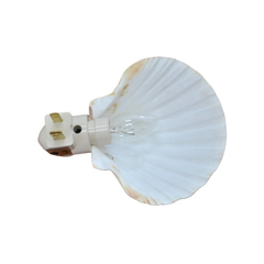 Fan-Shaped Seashell Plug-In Night Light, Coastal Style Wall Socket Ambient Lamp For Interior Decor And Gentle Night Illu