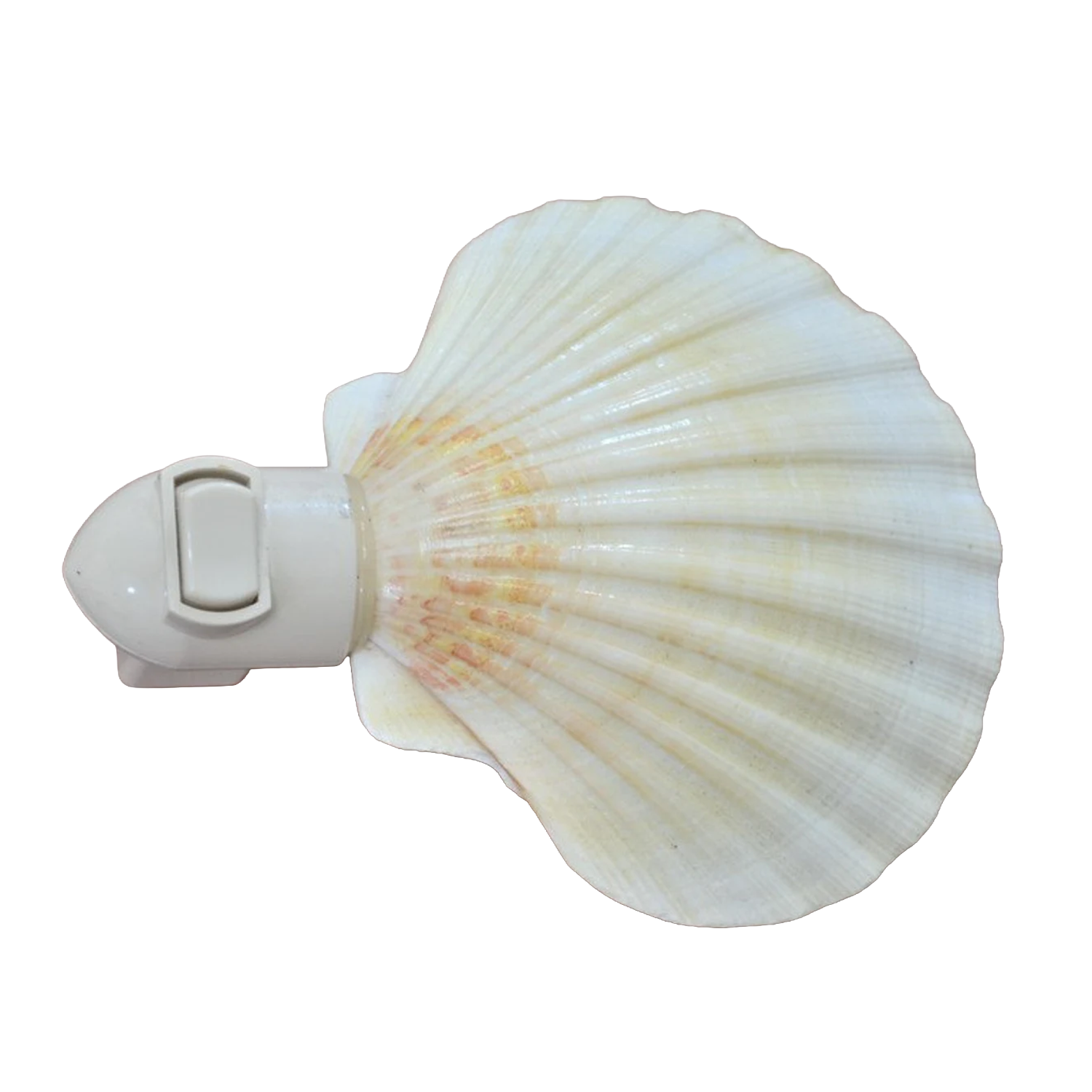 Fan-Shaped Seashell Plug-In Night Light, Coastal Style Wall Socket Ambient Lamp For Interior Decor And Gentle Night Illu