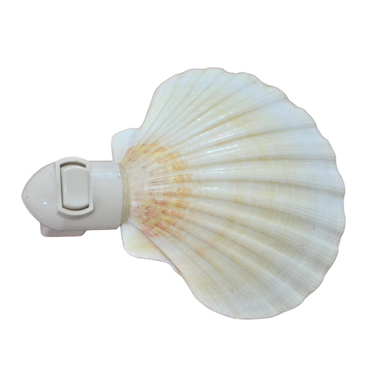 Fan-Shaped Seashell Plug-In Night Light, Coastal Style Wall Socket Ambient Lamp For Interior Decor And Gentle Night Illu
